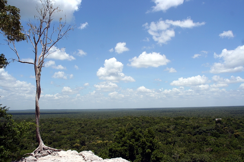 64a Calakmul